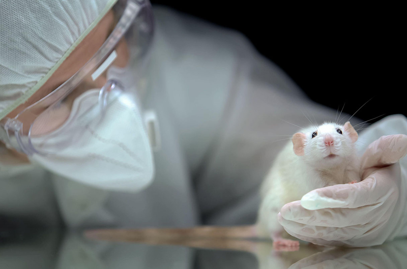 N.82 – EE.UU: La FDA ya no necesita exigir pruebas en animales