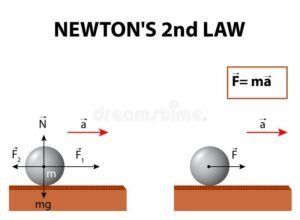 diagrama vectorial fuerza masa aceleracion simple