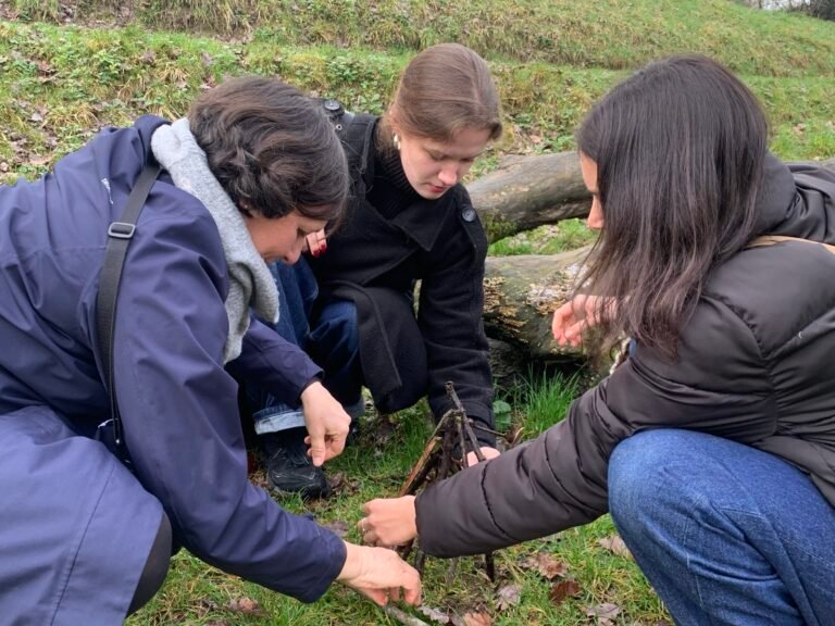 grupo diverso compartiendo actividades comunitarias al aire libre