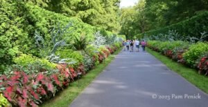 jardin botanico con flores y senderos