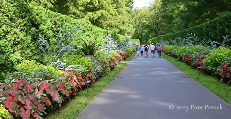 jardin botanico con flores y senderos