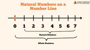 numeros naturales en una linea numerica simple