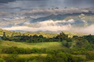 paisaje natural y flora de colonia las achiras