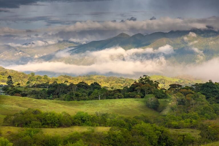 paisaje natural y flora de colonia las achiras