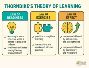 Cómo se Resuelve la Regla de 3 Simple de Forma Fácil y Rápida 16 persona resolviendo una regla de tres simple