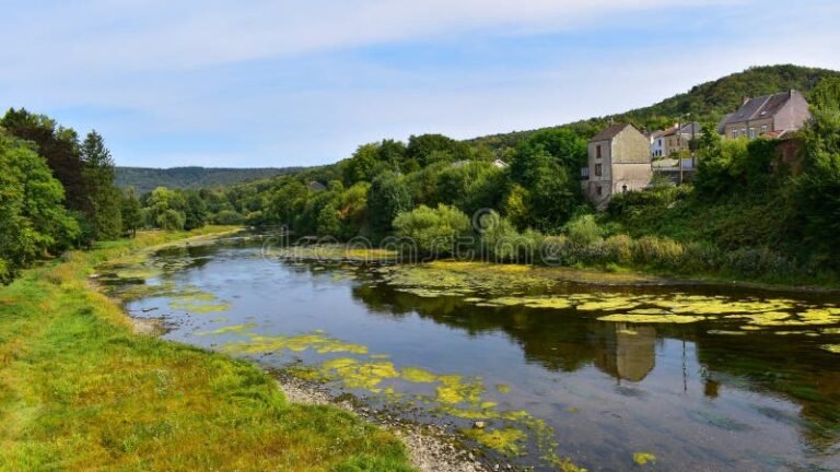 rio serpenteante con paisaje natural verde