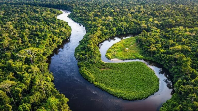 Qué características tienen las selvas del Río de Oro en Colombia